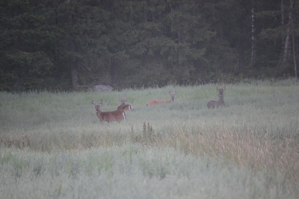 43ad3b5c-d501-47e5-aae1-63815ebcd33e