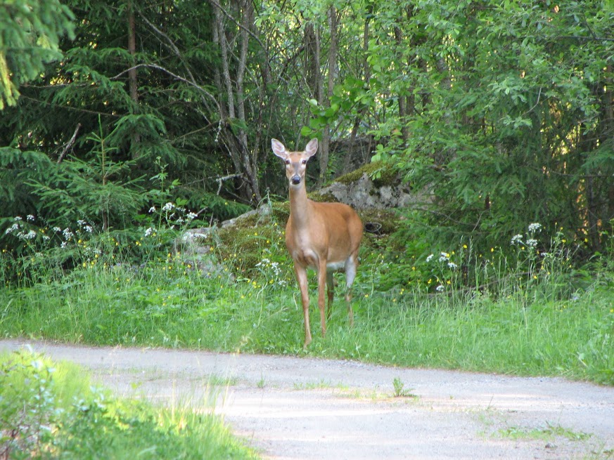 99eb7b46-8ca9-439c-80f6-ebc01188d101