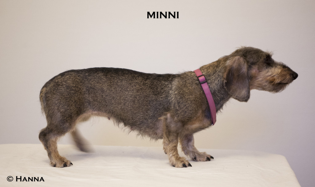 minni